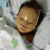 2岁小嘉乐患隐性基因遗传病，急需肝脏移植保命 / A 2-year-old boy suffers from a recessive genetic disease and urgently needs a liver transplant to save his life! - Image 3